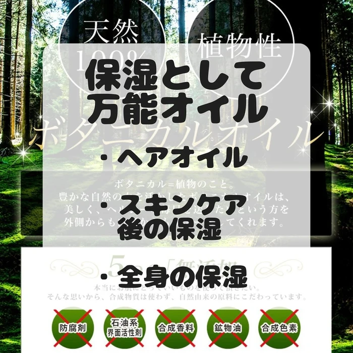 画像321