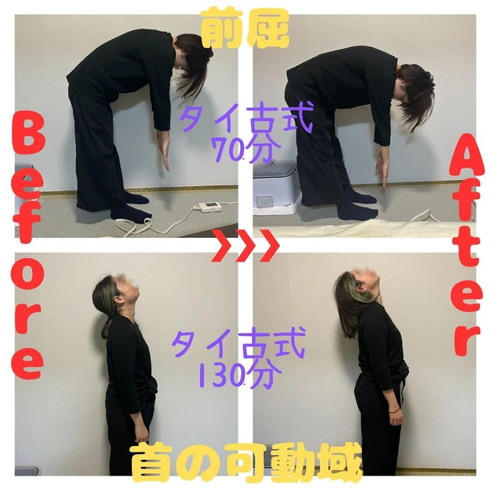 画像356