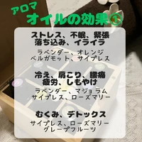 画像519