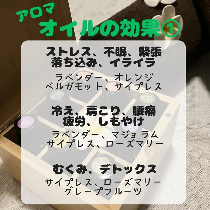 画像519