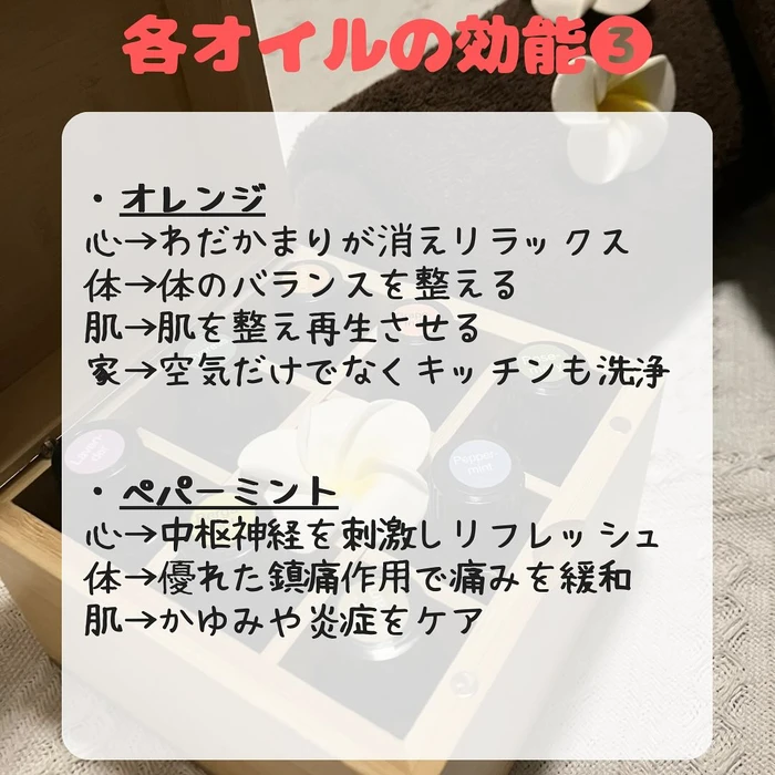 画像523